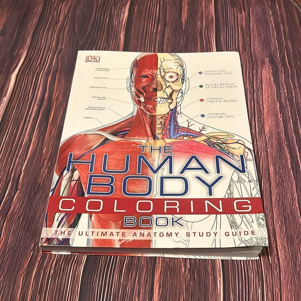 The Human Body Coloring Book/Study Guide - Picture 1 of 9